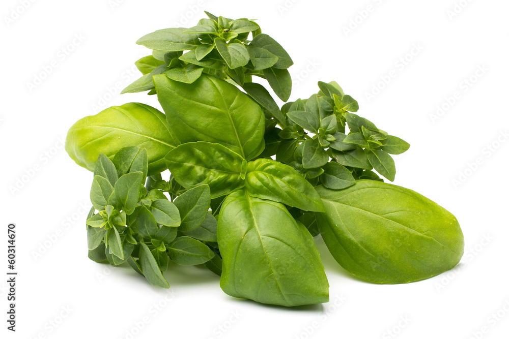 Fototapeta premium Basil.