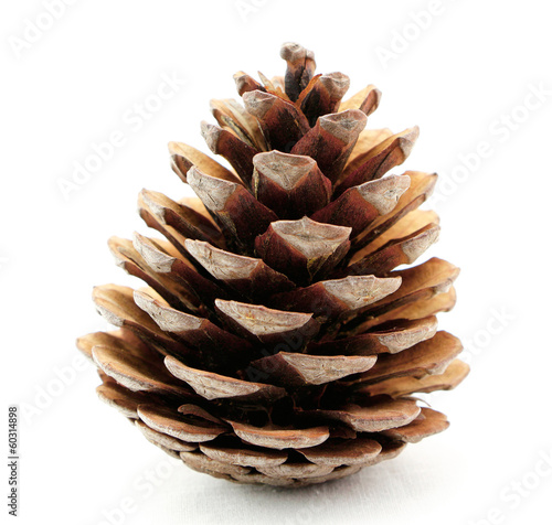 Принти на полотні Pine cone isolated on white background