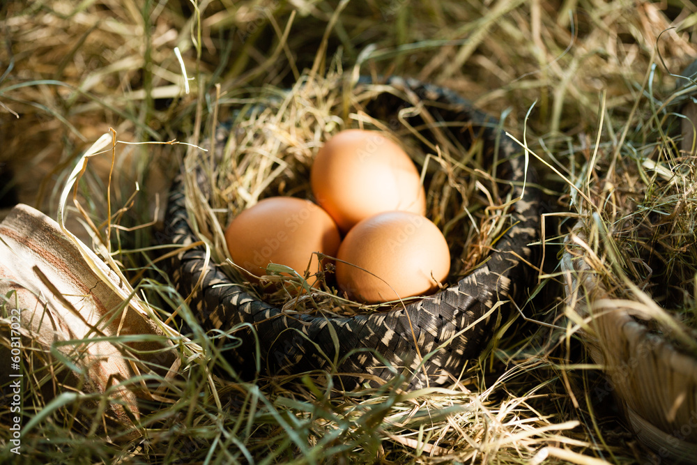Three brown eggs in straw nest