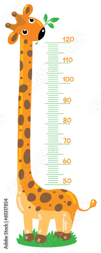 Giraffe  stadiometer photo