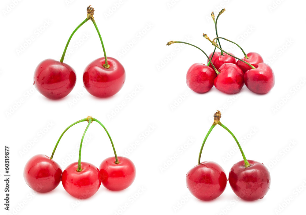 Cherry Cherry