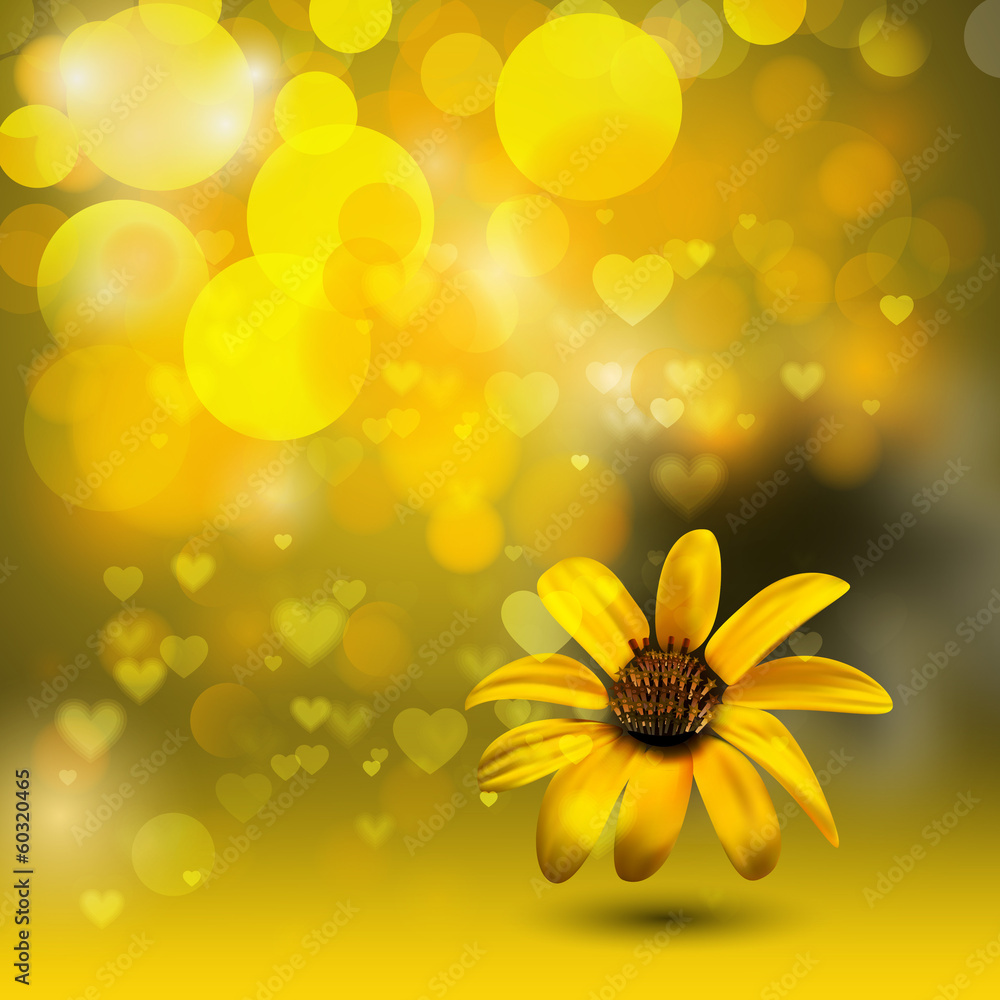 camomile camomile