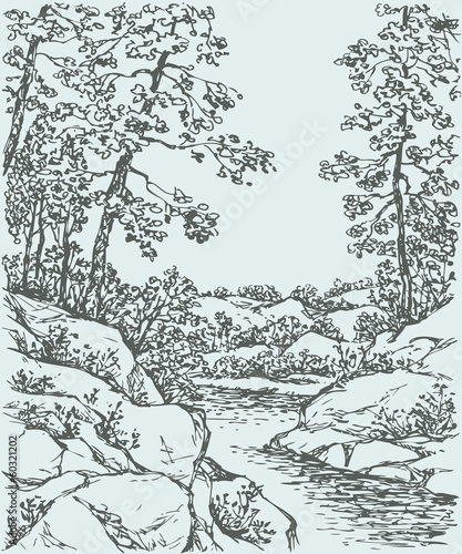 Vector landscape. Trees on rocky bank of mountain stream