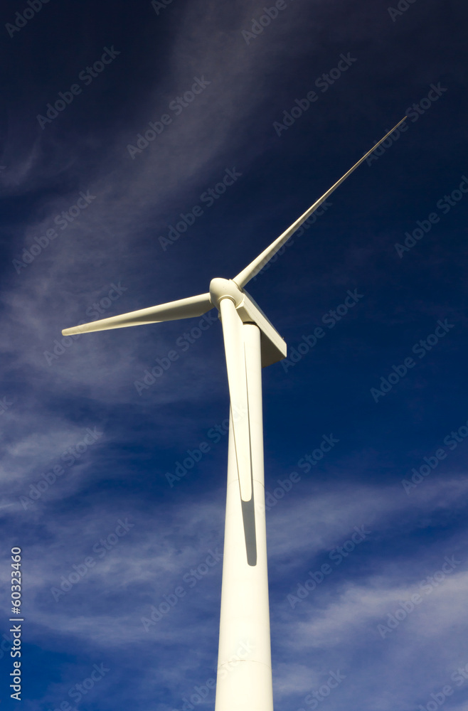 Wind power generator