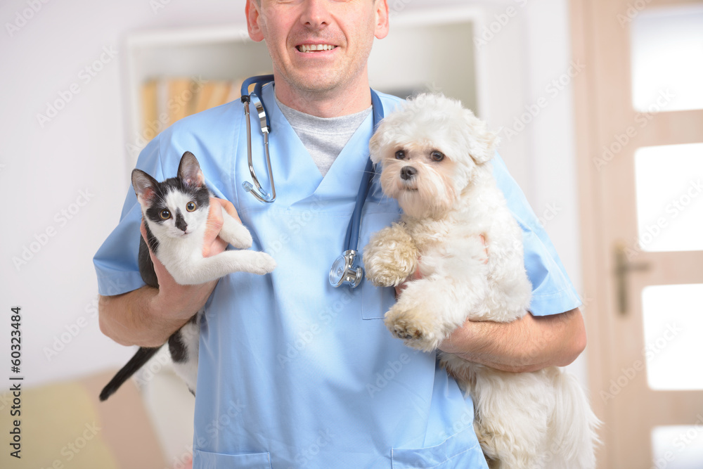 Happy vet with dog and cat Happy vet with dog and cat