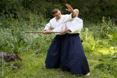 Training  martial art  Aikido.