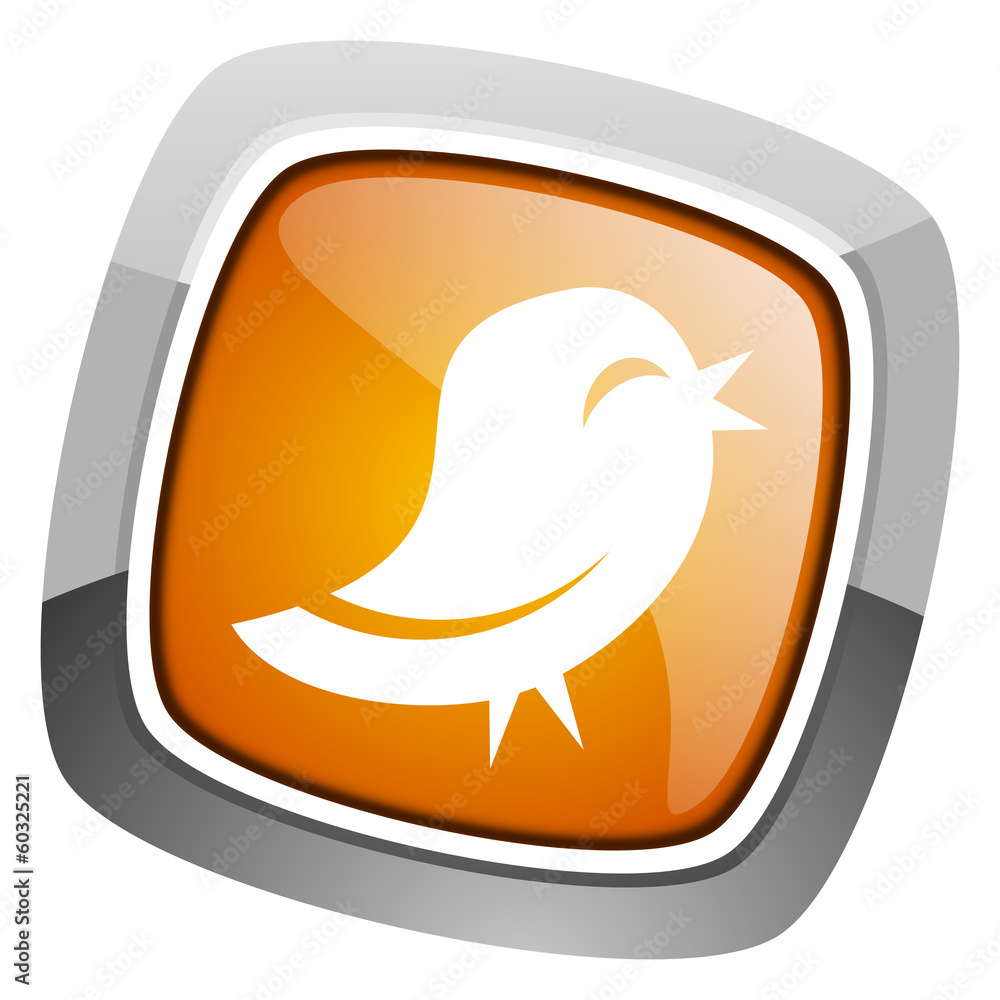 twitter icon twitter icon