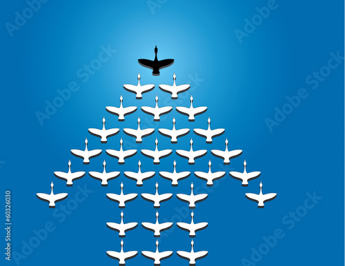 Leadership and Teamwork Concept art : Swans flying silhouette