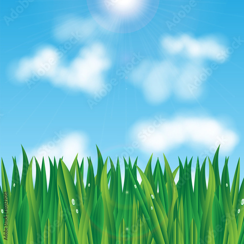 natural background.eco background.green grass with dew drops on