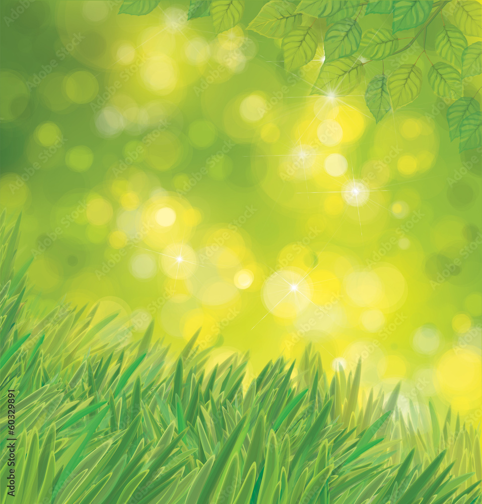 Vector green leaves  and grass on sunshine background.