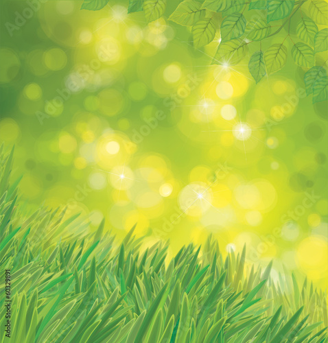 Vector green leaves and grass on sunshine background.