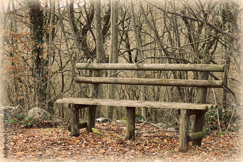 bench in the woods