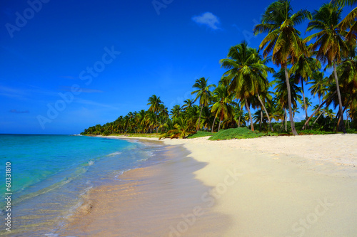 Plage paradisiaque © Cyril PAPOT