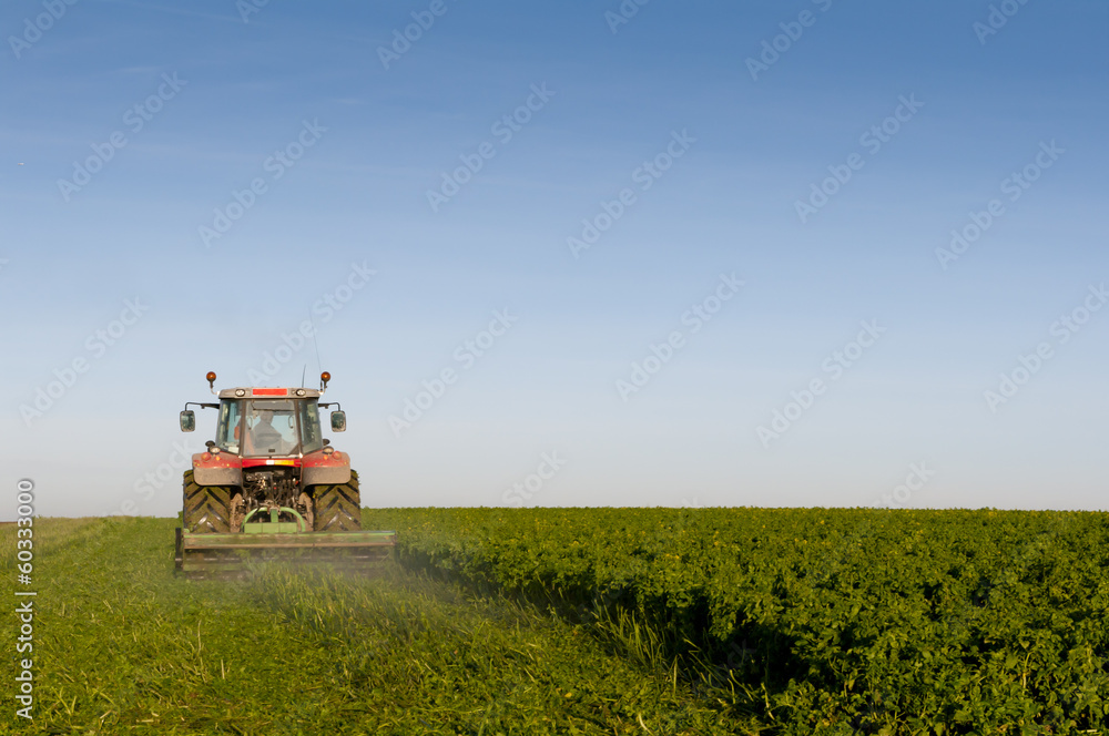 Fototapeta premium Tracteur fauchant du colza