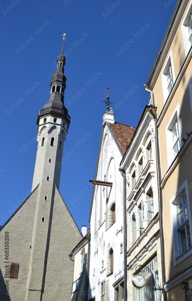 Naklejka premium Tallinn Town Hall