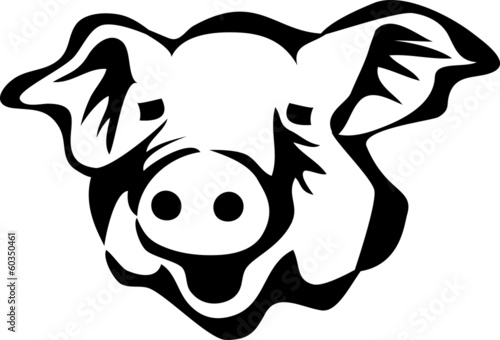 head of pig