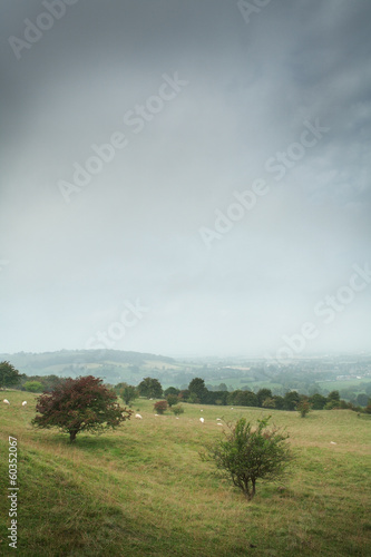 Scenic view of English countryside © jayfish