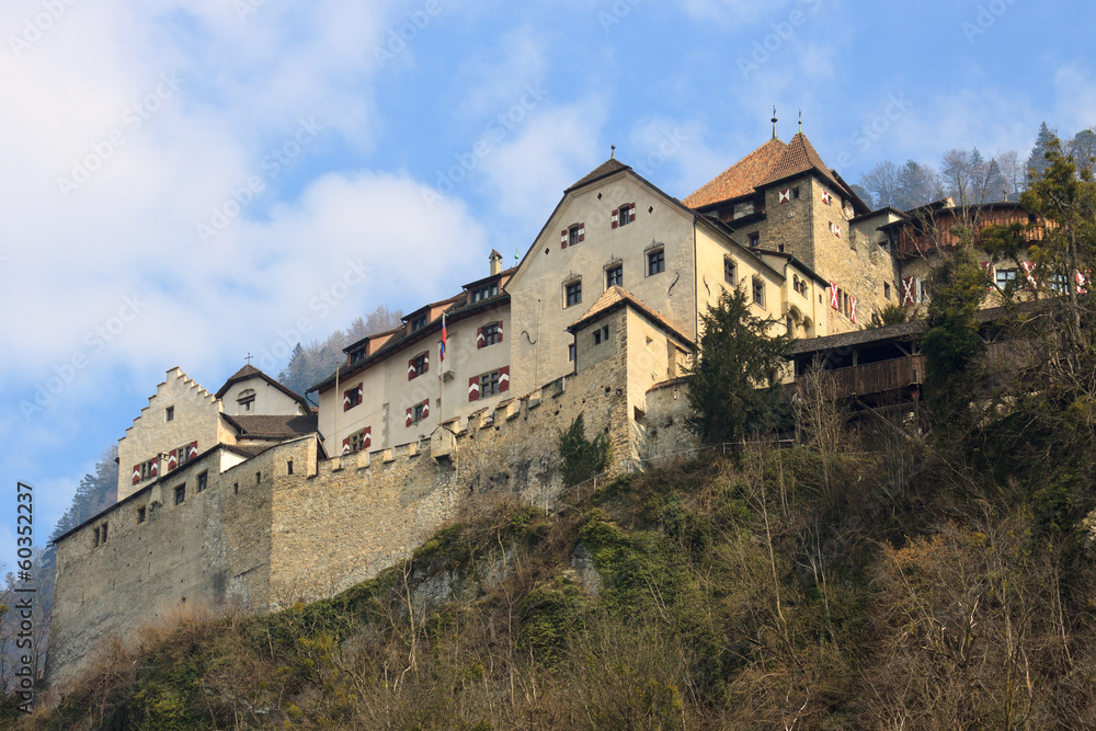 Castle Prince of Liechtenstein