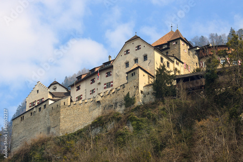 Castle Prince of Liechtenstein