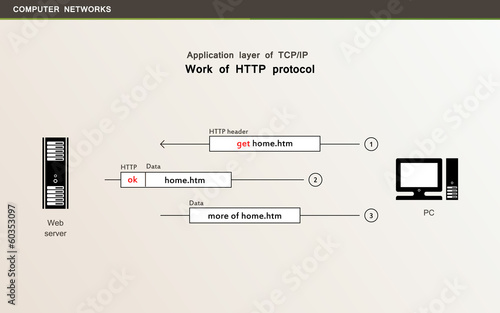 Computer networks. HTTP protocol.