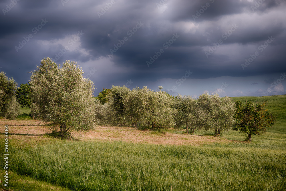 Fototapeta premium Heavy clouds