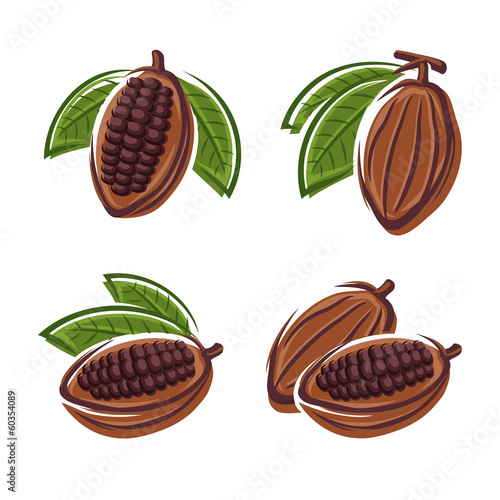 Cacao beans set. Vector