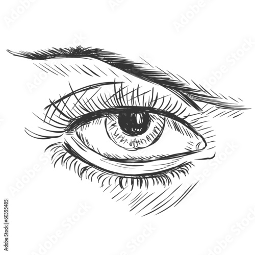 vector sketch illustration - female eye