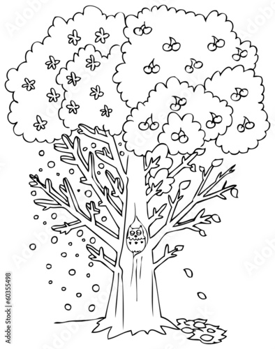 Coloring four seasons tree