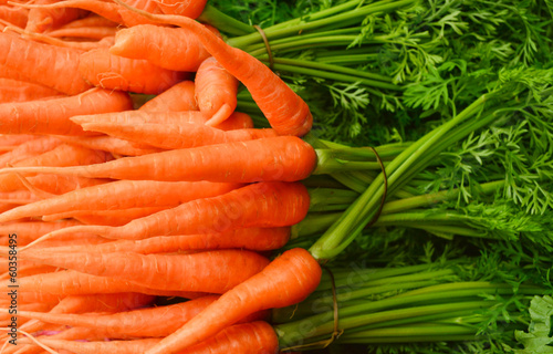 baby carrot