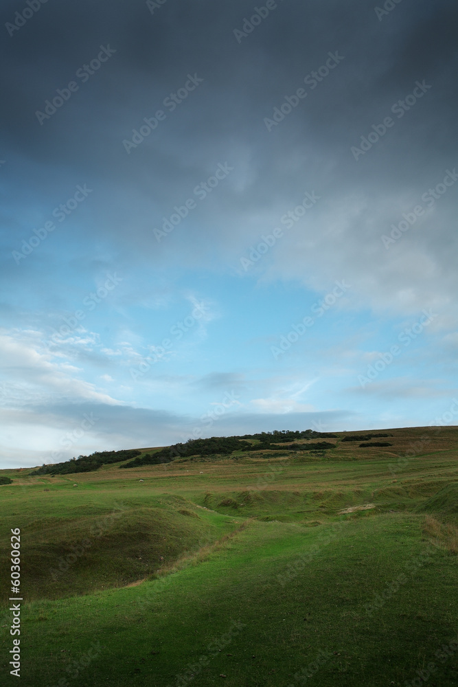 Countryside view, England