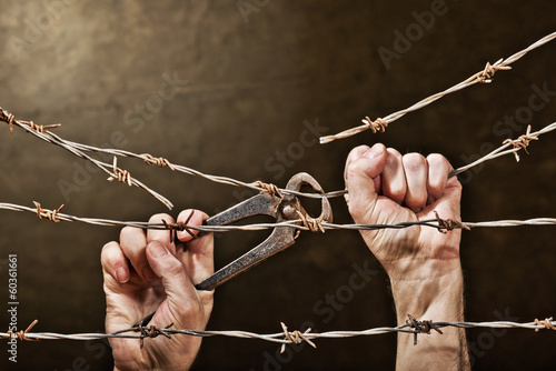 barbed wire with hands photo