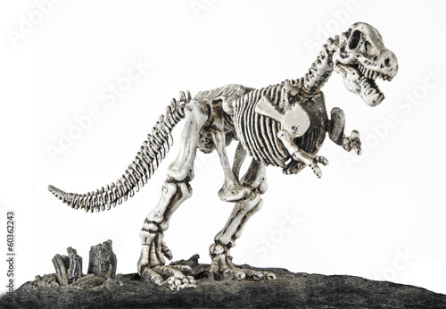 Fototapeta Naklejka Na Ścianę i Meble -  T.rex skeleton