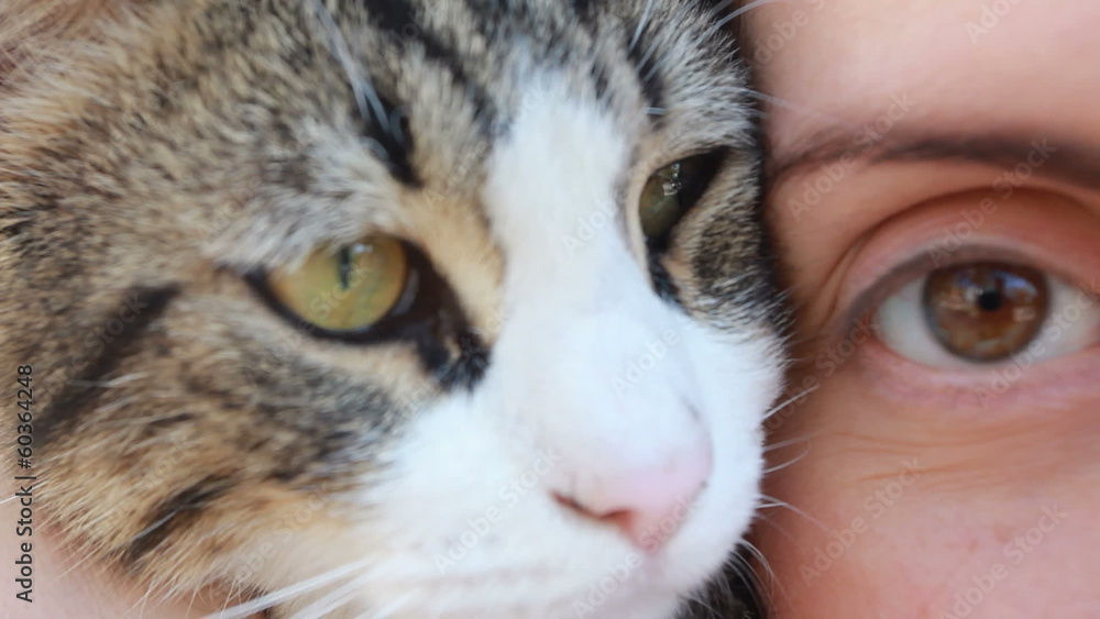 close-up portrait of a beautiful girl with holding cat close-up portrait of a beautiful girl with holding cat