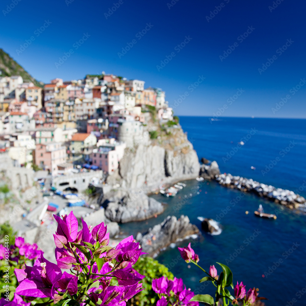 Obraz premium Manarola, Cinque Terre, Italy