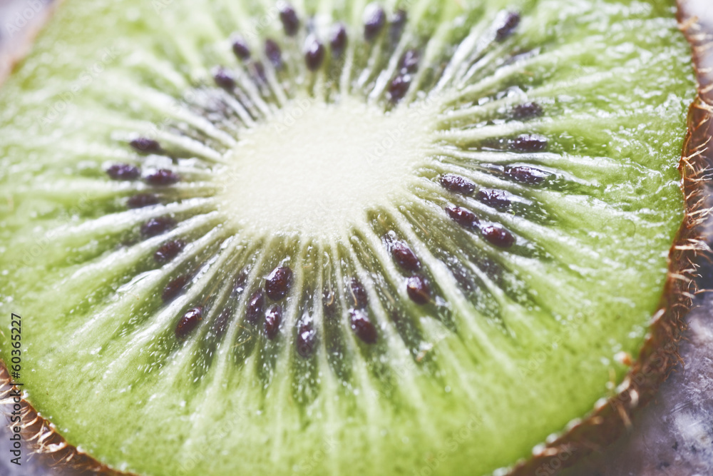 kiwi kiwi