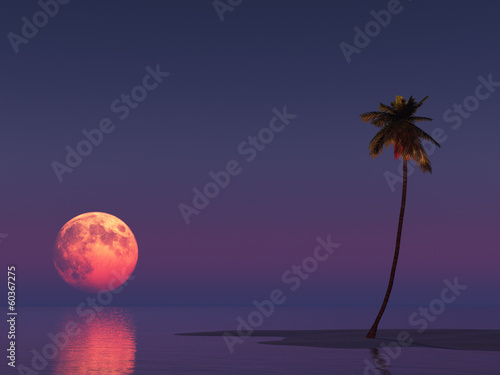Landscape with the moon and a palm