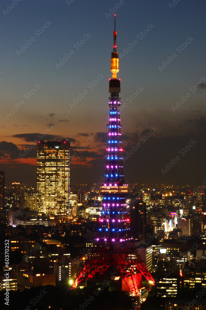 Naklejka premium Tokyo Tower