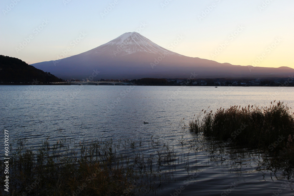 Lake Kawaguchi and Mount Fuji