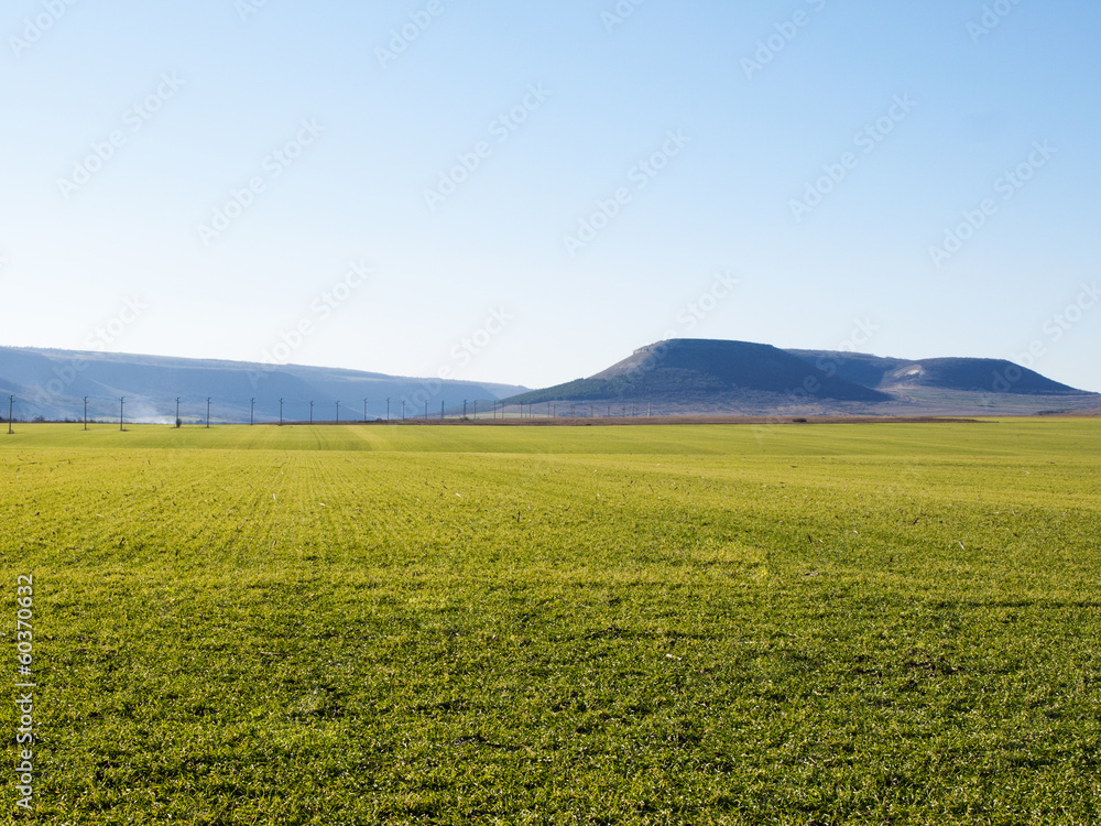 Field Over Mountains