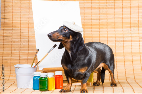 dachshund in hat of artist near easel with clean canvas