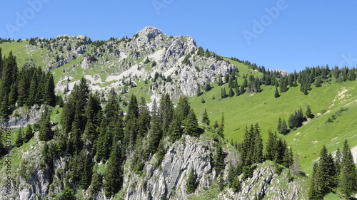 Alpages à proximité du lac d'Arvouin (Haute-Savoie)