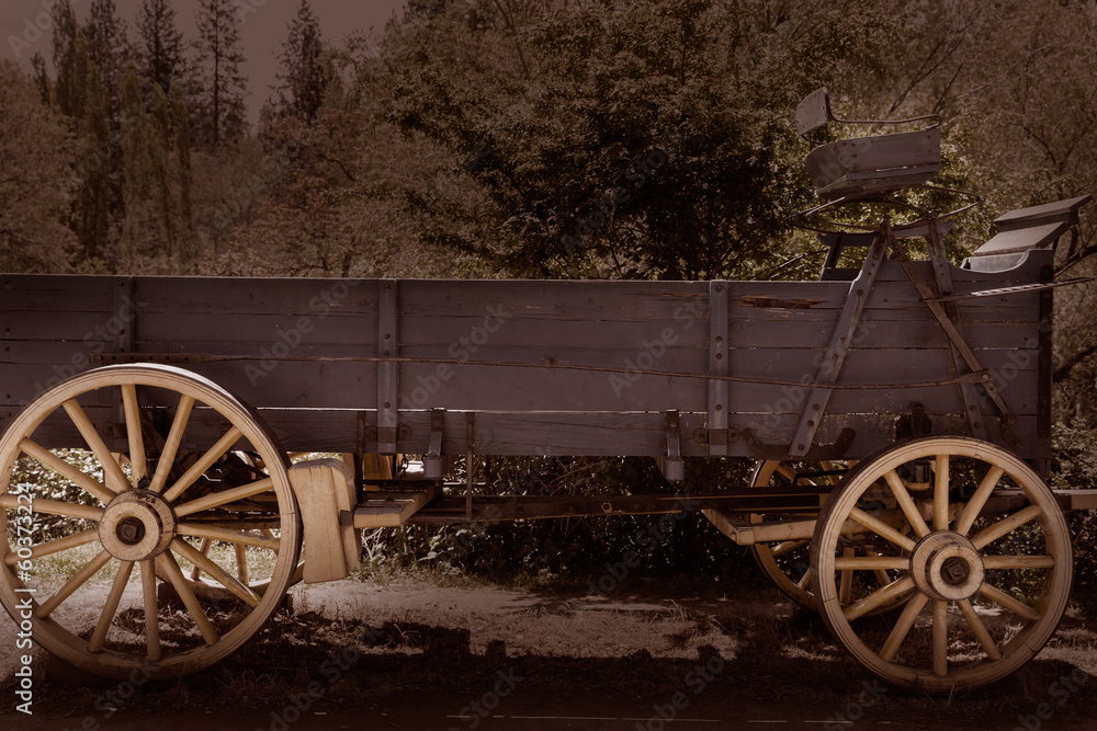 California Columbia carriage in an old Western Gold Rush Town