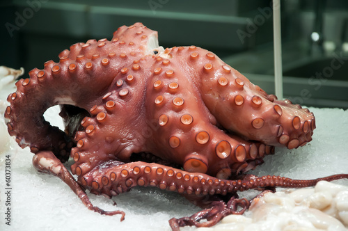 pulpo en mercado