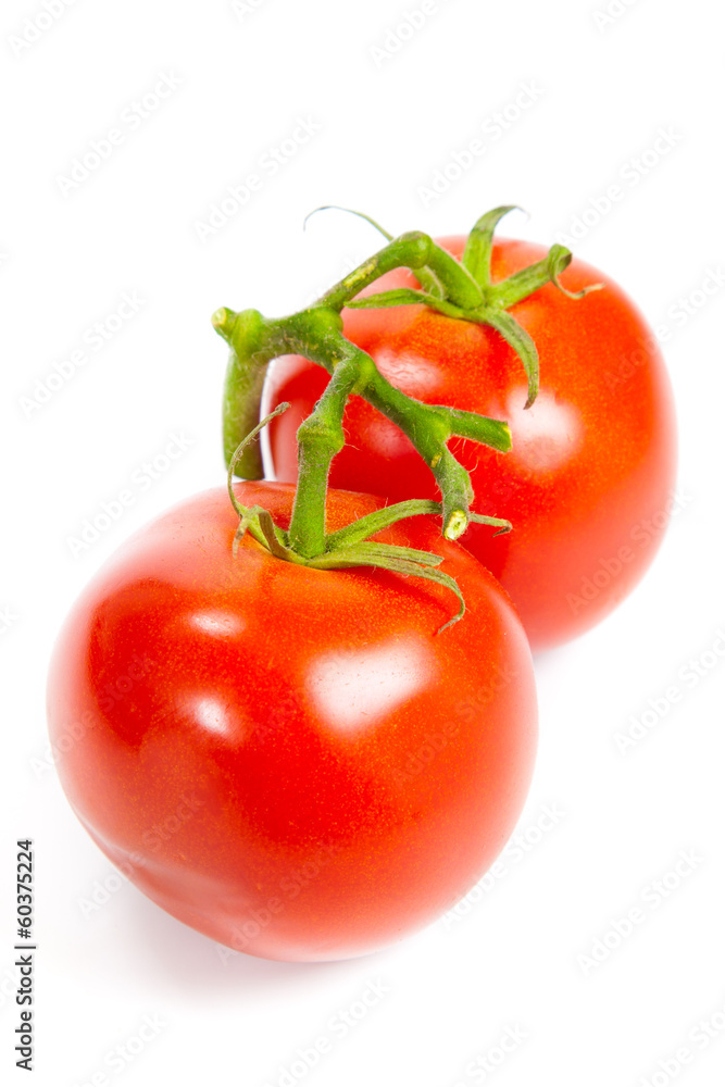 Closeup of tomatoes on the vine isolated on white. Tomato branch Closeup of tomatoes on the vine isolated on white. Tomato branch