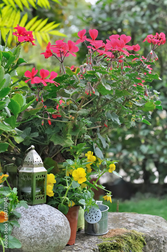 décoration jardin