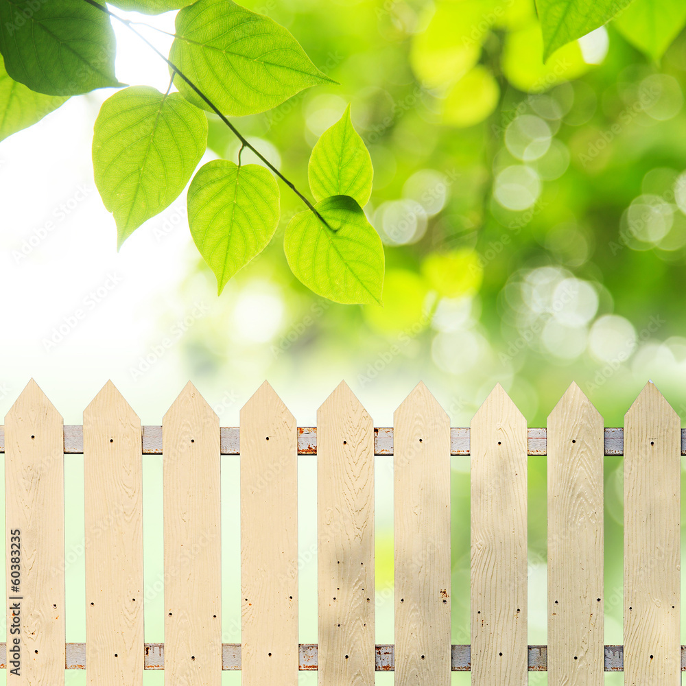White fences White fences
