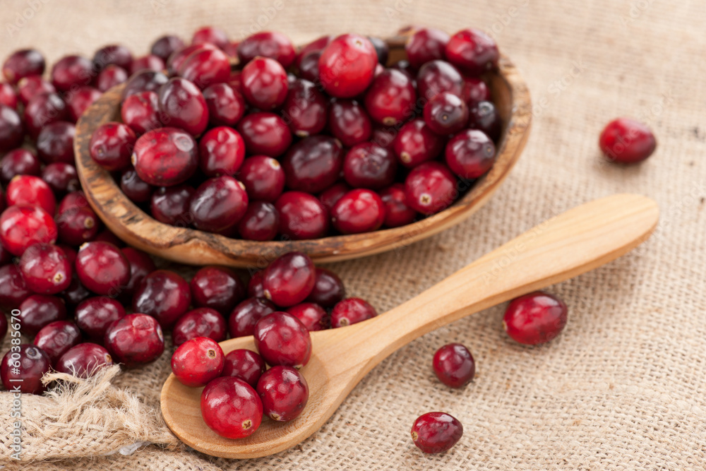 Cranberry Cranberry