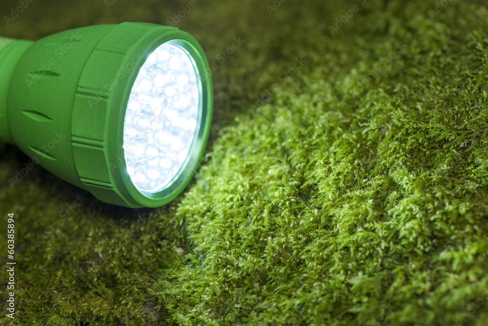Fototapeta premium 苔の上のLEDライト