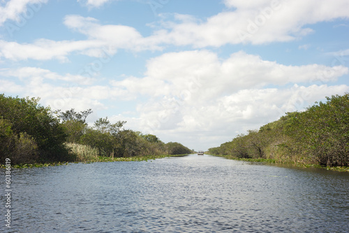 Everglades - Florida