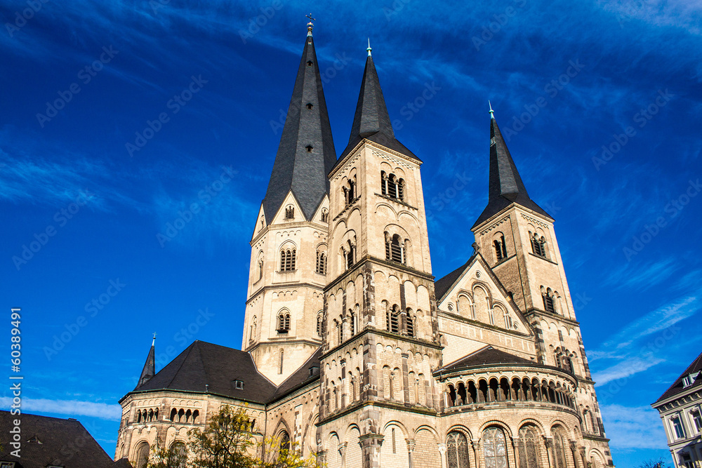 Obraz premium Minster (church) in Bonn, Germany